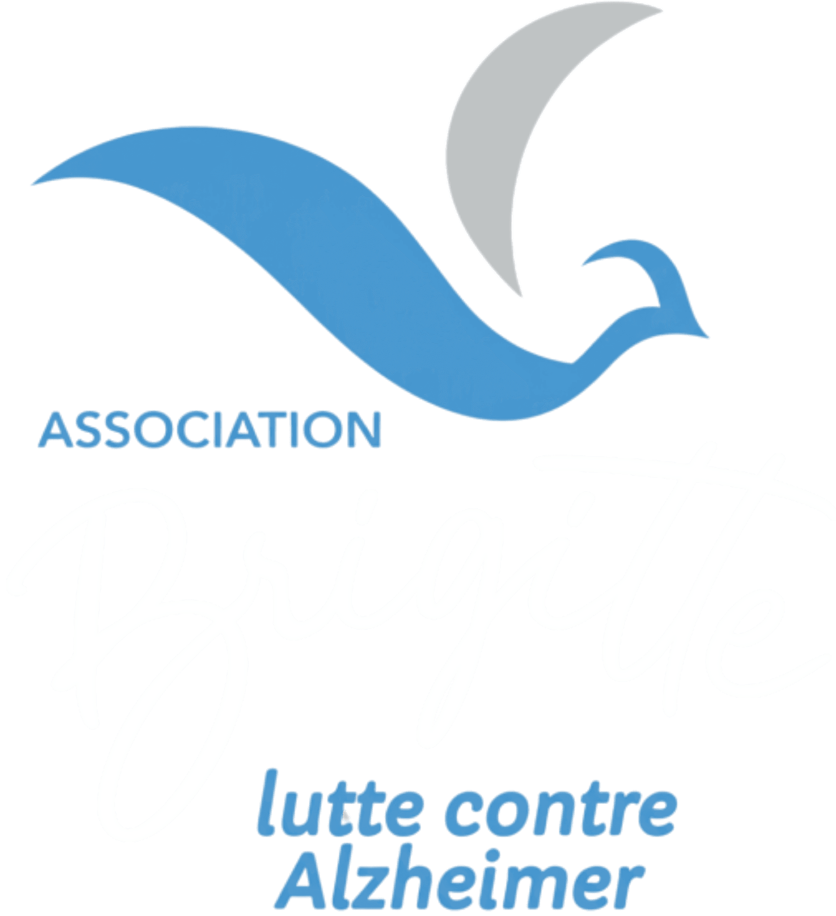 Association Brigitte